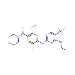 CCNc1nc(Nc2cc(OC)c(C(=O)N3CCOCC3)cc2Cl)ncc1C(F)(F)F ZINC000095574456