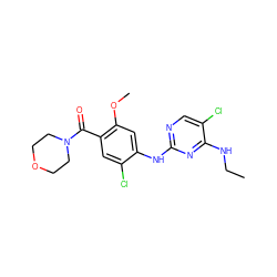 CCNc1nc(Nc2cc(OC)c(C(=O)N3CCOCC3)cc2Cl)ncc1Cl ZINC000169705153