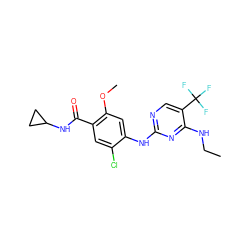 CCNc1nc(Nc2cc(OC)c(C(=O)NC3CC3)cc2Cl)ncc1C(F)(F)F ZINC000169705090