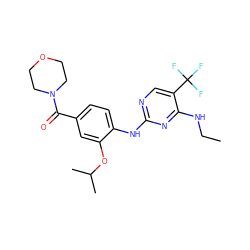 CCNc1nc(Nc2ccc(C(=O)N3CCOCC3)cc2OC(C)C)ncc1C(F)(F)F ZINC000169705149