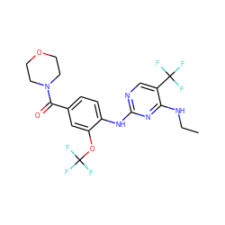 CCNc1nc(Nc2ccc(C(=O)N3CCOCC3)cc2OC(F)(F)F)ncc1C(F)(F)F ZINC000169705141