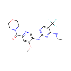 CCNc1nc(Nc2cnc(C(=O)N3CCOCC3)cc2OC)ncc1C(F)(F)F ZINC000095571663