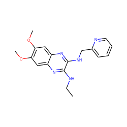 CCNc1nc2cc(OC)c(OC)cc2nc1NCc1ccccn1 ZINC000115764925