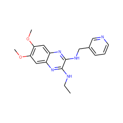 CCNc1nc2cc(OC)c(OC)cc2nc1NCc1cccnc1 ZINC000115765047