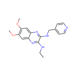 CCNc1nc2cc(OC)c(OC)cc2nc1NCc1ccncc1 ZINC000115765078