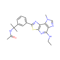 CCNc1nc2sc(-c3cccc(C(C)(C)NC(C)=O)c3)nc2c2c1ncn2C ZINC000066258609