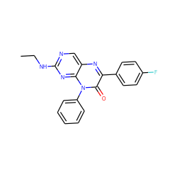 CCNc1ncc2nc(-c3ccc(F)cc3)c(=O)n(-c3ccccc3)c2n1 ZINC000004238720