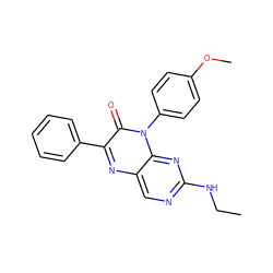 CCNc1ncc2nc(-c3ccccc3)c(=O)n(-c3ccc(OC)cc3)c2n1 ZINC000004238439