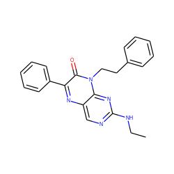 CCNc1ncc2nc(-c3ccccc3)c(=O)n(CCc3ccccc3)c2n1 ZINC000004238361