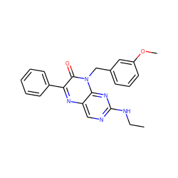 CCNc1ncc2nc(-c3ccccc3)c(=O)n(Cc3cccc(OC)c3)c2n1 ZINC000004238684