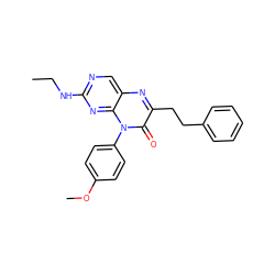 CCNc1ncc2nc(CCc3ccccc3)c(=O)n(-c3ccc(OC)cc3)c2n1 ZINC000004238443