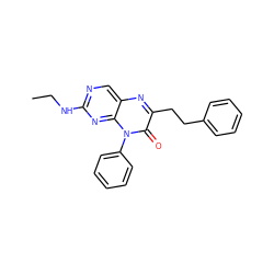 CCNc1ncc2nc(CCc3ccccc3)c(=O)n(-c3ccccc3)c2n1 ZINC000004238311