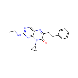 CCNc1ncc2nc(CCc3ccccc3)c(=O)n(C3CC3)c2n1 ZINC000004238735