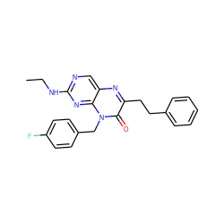 CCNc1ncc2nc(CCc3ccccc3)c(=O)n(Cc3ccc(F)cc3)c2n1 ZINC000004238666