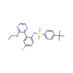 CCNc1nccnc1-c1cc(Cl)ccc1NS(=O)(=O)c1ccc(C(C)(C)C)cc1 ZINC000474609840