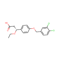 CCO[C@H](CC(=O)O)c1ccc(OCc2ccc(Cl)c(Cl)c2)cc1 ZINC000116390112