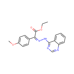 CCOC(=O)/C(=N\Nc1ncnc2ccccc12)c1ccc(OC)cc1 ZINC000009960958