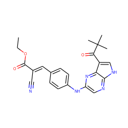 CCOC(=O)/C(C#N)=C/c1ccc(Nc2cnc3[nH]cc(C(=O)C(C)(C)C)c3n2)cc1 ZINC000148950389