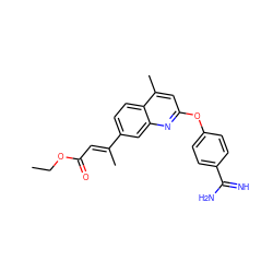 CCOC(=O)/C=C(\C)c1ccc2c(C)cc(Oc3ccc(C(=N)N)cc3)nc2c1 ZINC000013535191