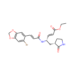 CCOC(=O)/C=C/[C@H](C[C@@H]1CCNC1=O)NC(=O)/C=C/c1cc2c(cc1Br)OCO2 ZINC000013473325