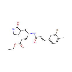 CCOC(=O)/C=C/[C@H](C[C@@H]1CCNC1=O)NC(=O)/C=C/c1ccc(C)c(Br)c1 ZINC000013473322