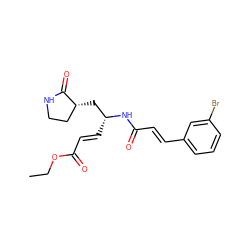 CCOC(=O)/C=C/[C@H](C[C@@H]1CCNC1=O)NC(=O)/C=C/c1cccc(Br)c1 ZINC000013473321