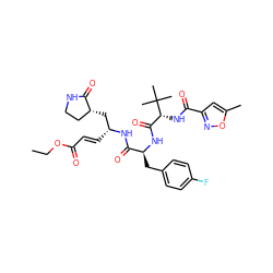 CCOC(=O)/C=C/[C@H](C[C@@H]1CCNC1=O)NC(=O)[C@H](Cc1ccc(F)cc1)NC(=O)[C@@H](NC(=O)c1cc(C)on1)C(C)(C)C ZINC000028231984