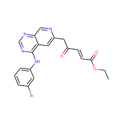 CCOC(=O)/C=C/C(=O)Cc1cc2c(Nc3cccc(Br)c3)ncnc2cn1 ZINC000040835665