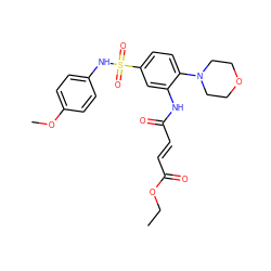 CCOC(=O)/C=C/C(=O)Nc1cc(S(=O)(=O)Nc2ccc(OC)cc2)ccc1N1CCOCC1 ZINC000009491136