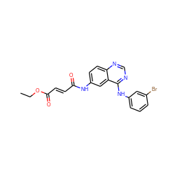 CCOC(=O)/C=C/C(=O)Nc1ccc2ncnc(Nc3cccc(Br)c3)c2c1 ZINC000001903262