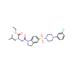 CCOC(=O)[C@@H](CC(C)C)NC(=O)N1CCc2cc(S(=O)(=O)N3CCN(c4cccc(Cl)c4)CC3)ccc21 ZINC000118533562