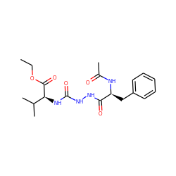 CCOC(=O)[C@@H](NC(=O)NNC(=O)[C@H](Cc1ccccc1)NC(C)=O)C(C)C ZINC000013491219