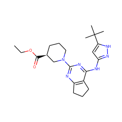 CCOC(=O)[C@H]1CCCN(c2nc3c(c(Nc4cc(C(C)(C)C)[nH]n4)n2)CCC3)C1 ZINC000299868398