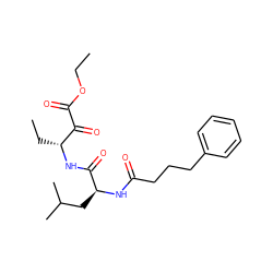 CCOC(=O)C(=O)[C@@H](CC)NC(=O)[C@H](CC(C)C)NC(=O)CCCc1ccccc1 ZINC000013833715