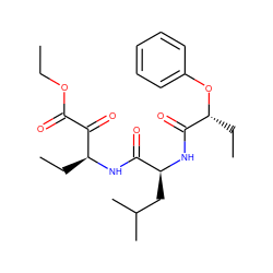 CCOC(=O)C(=O)[C@H](CC)NC(=O)[C@H](CC(C)C)NC(=O)[C@@H](CC)Oc1ccccc1 ZINC000013833724