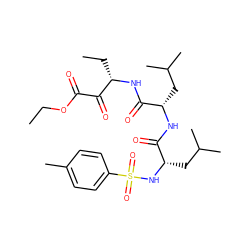 CCOC(=O)C(=O)[C@H](CC)NC(=O)[C@H](CC(C)C)NC(=O)[C@H](CC(C)C)NS(=O)(=O)c1ccc(C)cc1 ZINC000169319149