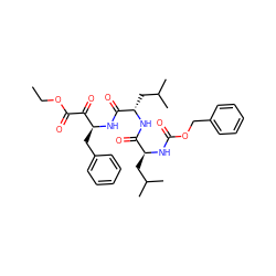 CCOC(=O)C(=O)[C@H](Cc1ccccc1)NC(=O)[C@H](CC(C)C)NC(=O)[C@H](CC(C)C)NC(=O)OCc1ccccc1 ZINC000169319145