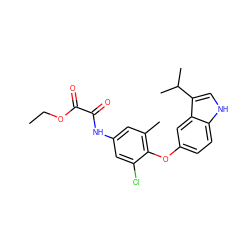 CCOC(=O)C(=O)Nc1cc(C)c(Oc2ccc3[nH]cc(C(C)C)c3c2)c(Cl)c1 ZINC000028350989