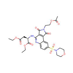 CCOC(=O)C[C@@H](Nc1nc2ccc(S(=O)(=O)N3CCOCC3)cc2c2c1C(=O)N(CCOC(C)=O)C2=O)C(=O)OCC ZINC000014947186