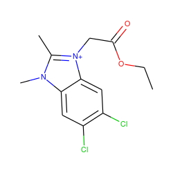 CCOC(=O)C[n+]1c(C)n(C)c2cc(Cl)c(Cl)cc21 ZINC000015961529