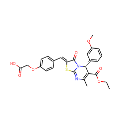 CCOC(=O)C1=C(C)N=c2s/c(=C\c3ccc(OCC(=O)O)cc3)c(=O)n2[C@@H]1c1cccc(OC)c1 ZINC000066105042