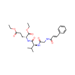 CCOC(=O)CC[C@@H](NC(=O)[C@@H](NC(=O)CNC(=O)/C=C/c1ccccc1)C(C)C)C(=O)OCC ZINC001772616692