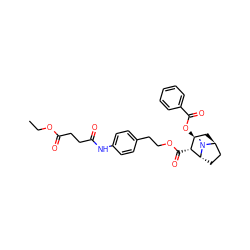 CCOC(=O)CCC(=O)Nc1ccc(CCOC(=O)[C@@H]2[C@@H](OC(=O)c3ccccc3)C[C@H]3CC[C@H]2N3C)cc1 ZINC000100649784