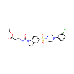 CCOC(=O)CCNC(=O)N1CCc2cc(S(=O)(=O)N3CCN(c4cccc(Cl)c4)CC3)ccc21 ZINC000118508025