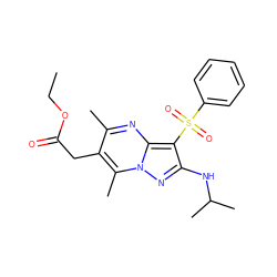 CCOC(=O)Cc1c(C)nc2c(S(=O)(=O)c3ccccc3)c(NC(C)C)nn2c1C ZINC000169699842