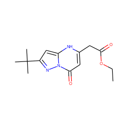 CCOC(=O)Cc1cc(=O)n2nc(C(C)(C)C)cc2[nH]1 ZINC000101647831