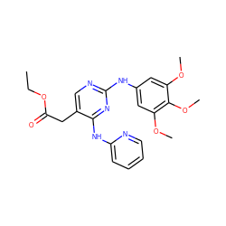 CCOC(=O)Cc1cnc(Nc2cc(OC)c(OC)c(OC)c2)nc1Nc1ccccn1 ZINC000036348573