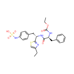 CCOC(=O)N[C@@H](Cc1ccccc1)C(=O)N[C@@H](Cc1ccc(NS(=O)(=O)O)cc1)c1nc(CC)cs1 ZINC000114378859