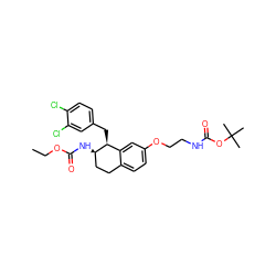 CCOC(=O)N[C@@H]1CCc2ccc(OCCNC(=O)OC(C)(C)C)cc2[C@@H]1Cc1ccc(Cl)c(Cl)c1 ZINC000143174249