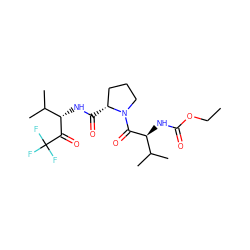 CCOC(=O)N[C@H](C(=O)N1CCC[C@H]1C(=O)N[C@H](C(=O)C(F)(F)F)C(C)C)C(C)C ZINC000013765559